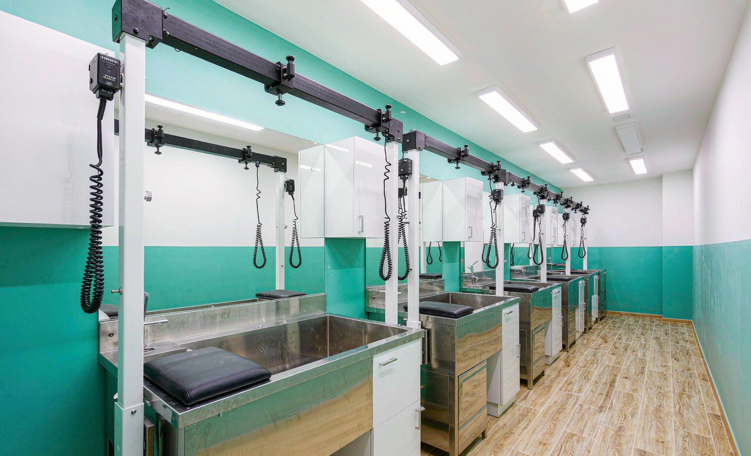 Clean modern grooming stations at VEVOR Pet Spa